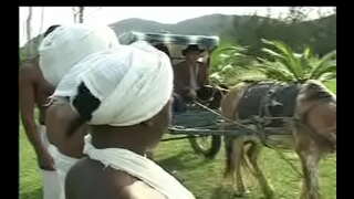 כמו Negras דה senzala