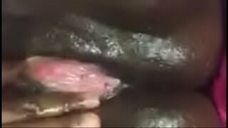 Zeka dat çikolata ıslak kedi oynuyor